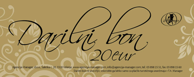 Darilni bon Agencije Manager v vrednosti 20€ Darilni bon Agencije Manager v vrednosti 20€
