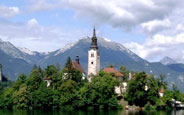 Izberite kategorijo po vašem izboru